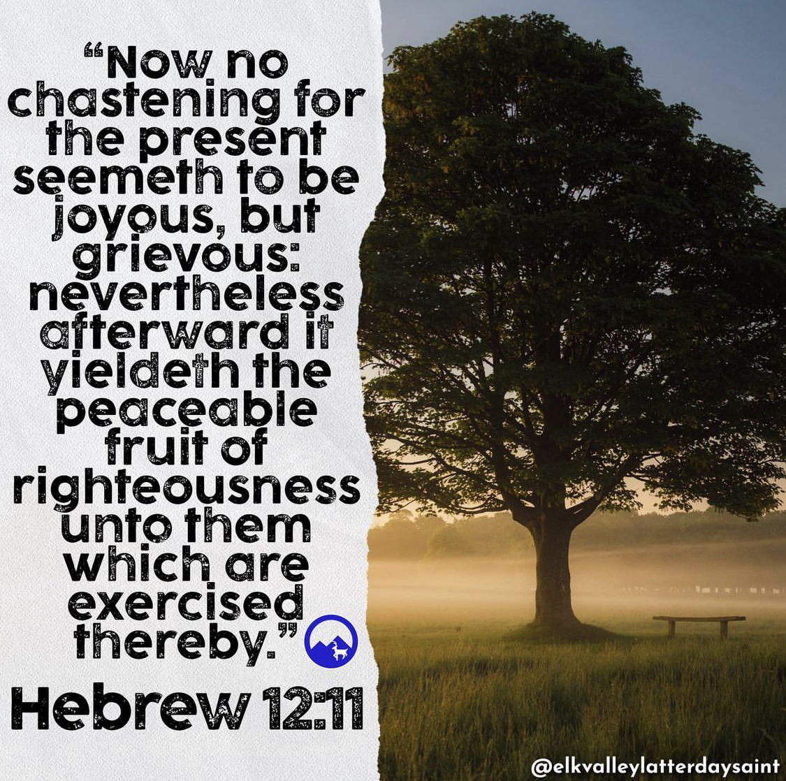 Hebrews 12:11 | Spiritual Crusade